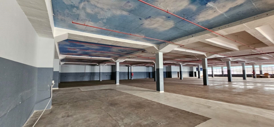 To Let commercial Property for Rent in Elsies River Industrial Western Cape